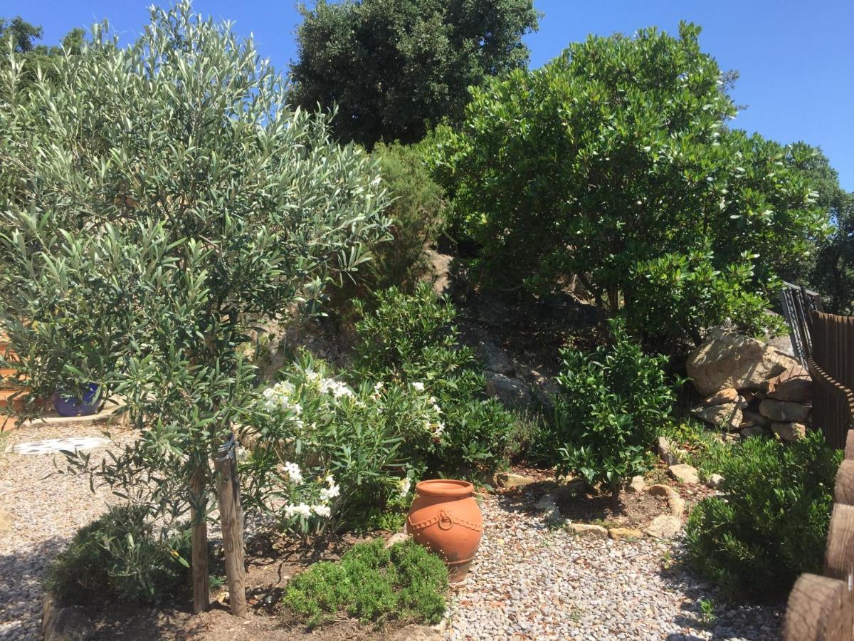 Villa Gardenia Mit Pool Und Traumhaftem Meerblick Santa Cristina d'Aro Exterior photo